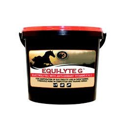 Foran Equi-Lyte G elektrolitkeverék lovaknak 4 kg