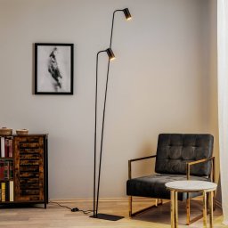 Nowodvorski Lighting Mono II floor lamp, 2-bulb, black/gold