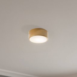 TEMAR LIGHTING Cleo 200 ceiling lamp, gold, sensor, IP20, Ø 20 cm, E27