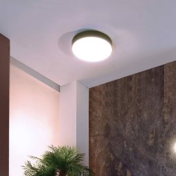 Deko-Light Menkar LED ceiling light, silver