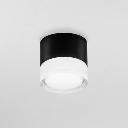 Egger Licht EGG DLS Phoenix outdoor ceiling lamp 3,000 K black Ø 9cm aluminium