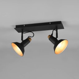 Trio Lighting Swivelling downlight Roxie 2flg. black matt