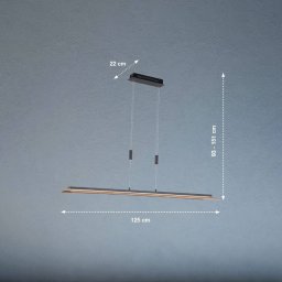 FISCHER & HONSEL Shine-Wood LED pendant light, oak/black, 125 cm, CCT