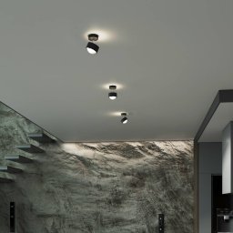 Top Light Puk! 80 Turn up/downlight matt lens black/chrome
