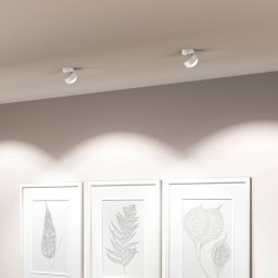 Top Light Puk! 80 Move LED spot matt lens matt white/chrome