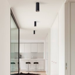 LEDS-C4 Pipe downlight two-bulb black and white