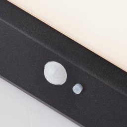 Searchlight LED outdoor wall lamp 67418BK