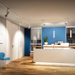 Paulmann Apol II URail spot white matt