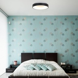 Steinhauer LED ceiling light Ringlede 2,700 K Ø 30 cm black
