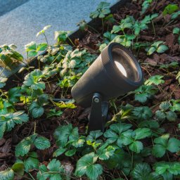 SLV Samrina ground spike light, black, plastic, height 13 cm