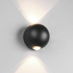 Trio Lighting LED outdoor wall light Avisio, black, 2-bulb, semicircular