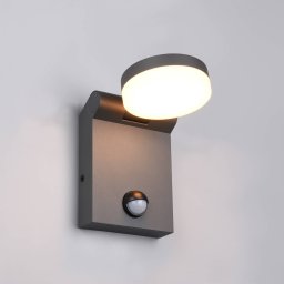 Trio Lighting LED outdoor wall light Adour, anthracite, sensor, tiltable, CCT