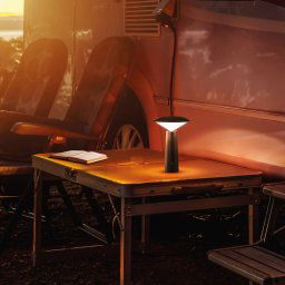 FH Lighting Pinto LED table lamp, CCT, black
