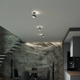 Top Light Puk! 80 Turn up/downlight matt lens anthracite