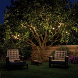 Paulmann Plug & Shine LED fairy lights Globe 7x0.2W