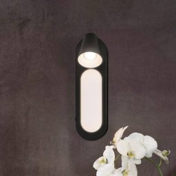 LEDVANCE LED wall light Neptune, 1 spot, switch, black