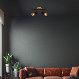 Briloner Plek GU10 downlight black/wood 2-bulb