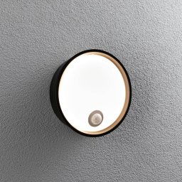Paulmann Platomo LED outdoor wall lamp sensor black