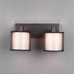 Trio Lighting Burton downlight, elongated, 2-bulb
