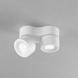 Egger Licht EGG DLS LED spot Clippo Duo white/white DALI DTW 2-bulb