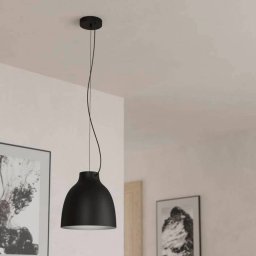 EGLO Camasca pendant light, one-bulb, black