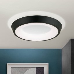 ORION Look LED ceiling light, black/white