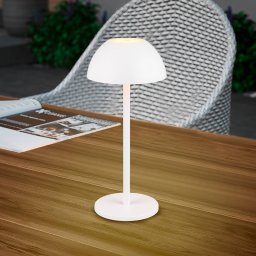 Reality Leuchten Ricardo LED table lamp, white, height 30 cm, plastic