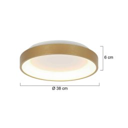 Steinhauer LED ceiling light Ringlede, gold, height 6 cm, Ø 38 cm