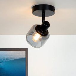 Lucide Bjorn downlight 1-bulb, black/smoky grey