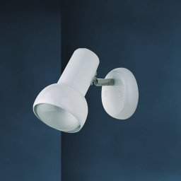 Busch Classic wall spotlight Eifel, without switch