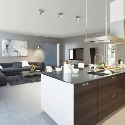 Top Light Puk Mini Move G9 spot, clear lens, chrome