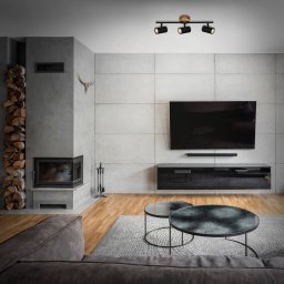 Briloner Wood & Style 2920 downlight, 3-bulb