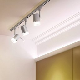 Paulmann URail Pipe spot made of metal