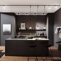 Paulmann URail Sarrasani pendant black/opal