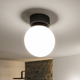 Paulmann Gove LED ceiling light, black, IP44