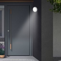 Telefunken LED outdoor wall light Dortmund Ø17cm silver