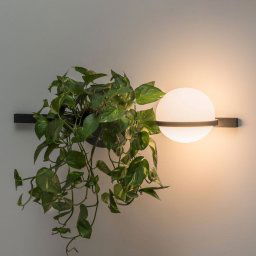 Vibia Palma 3702 wall light, plant bowl, graphite