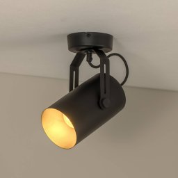 TEMAR LIGHTING Ceiling spotlight Reflector, black, 1-bulb