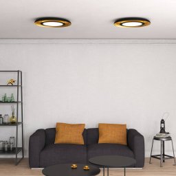 ACB ILUMINACIÓN Shiitake LED ceiling light, black / gold