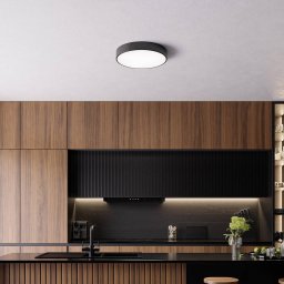 TEMAR LIGHTING Cleo ceiling light, Ø 50 cm, IP54, black, metal, E27