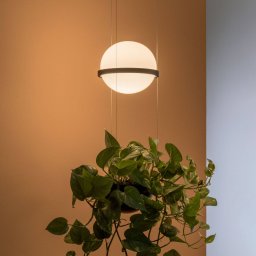 Vibia Palma 3724 hanging light plant bowl graphite