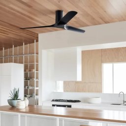 Beacon Lighting Beacon ceiling fan Londo black DC motor 132 cm quiet