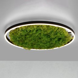 JUST LIGHT. GmbH LED ceiling lamp Green Ritus, moss dimmable Ø58.5cm