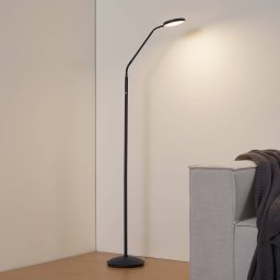 Lindby Elvyn LED battery-powered floor lamp, black, adjustable