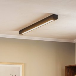 Eko-Light Lungo ceiling light, black, length 124 cm