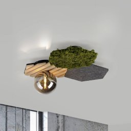 JUST LIGHT. GmbH JUST LIGHT. Green Hex ceiling light, iron, wood, moss