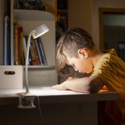 OSRAM LED clip-on light Office Line Cylinder, white, CCT, dimmable