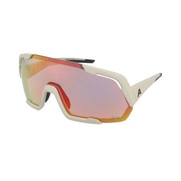 Sunglasses Alpina Rocket QV Cool-Grey Matt