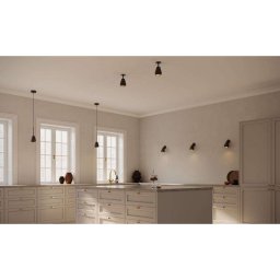 Nuura Aps Nuura Anoli Spot pendant light, Ø 10 cm, black, metal