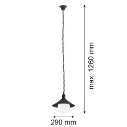 Argon Enduro outdoor hanging light, black, steel, glass, IP44, E27